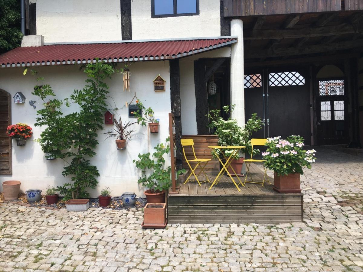 Au Relais De L'Histoire Gite Classe 4 Etoiles Oberbronn Exterior photo